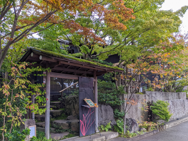 MOMIJI-20100411