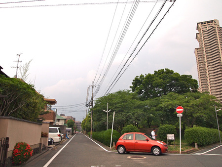 P5298353