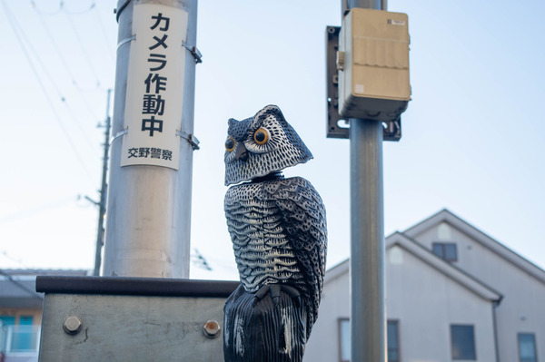 とり-2101201