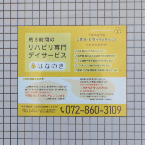 花の木-2102204