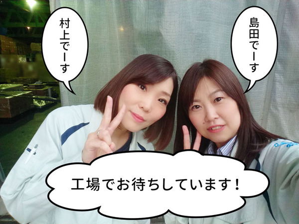 handsplow11