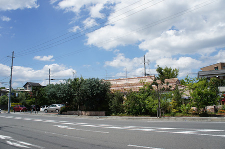 20110717DSC03674