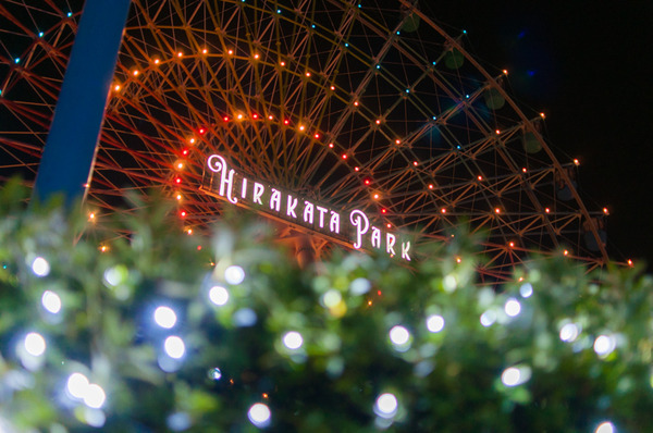 光の遊園地-43