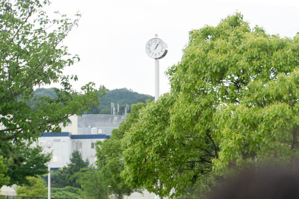 くにみの丘公園-18062814