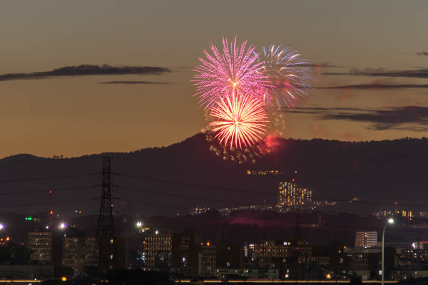 花火-1908084