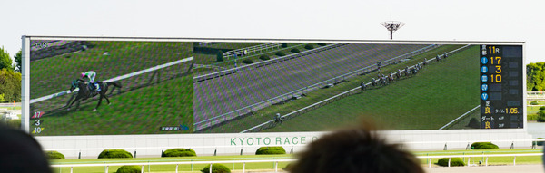 競馬-79