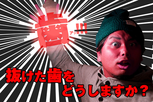 歯