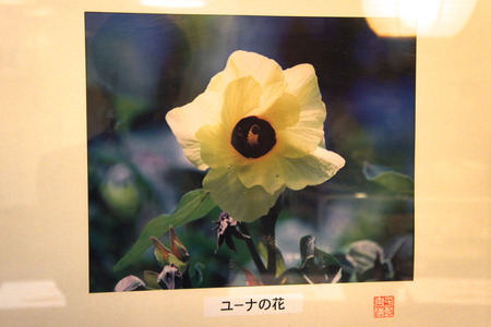 DSC01084