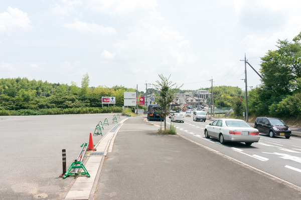 20170801いちばん地鶏-4