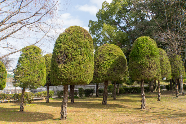 中ノ池公園-20021922