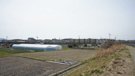 20110801DSC00459