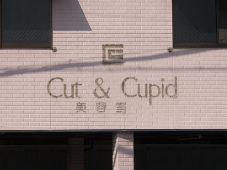 CUT&CUPID-1402242