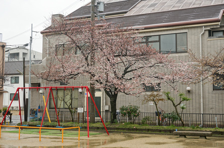 伊加賀公園-3
