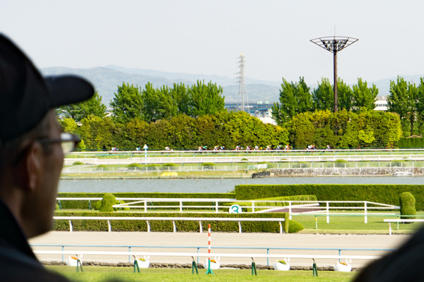 競馬-81