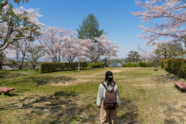 武生田公園-2004079