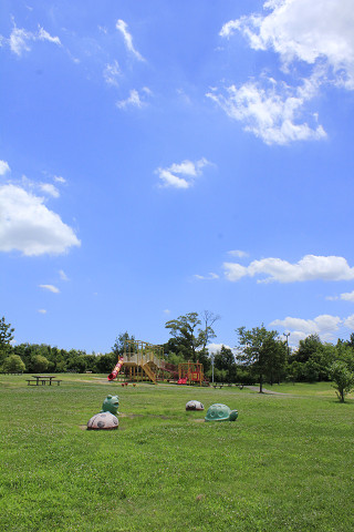 山田池公園120717b-藤山おこめつぶ