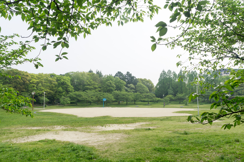 地域情報サイト「枚方つーしん」スタッフが交野市民に勧めたい枚方市内