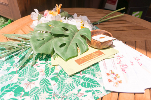 樟葉モール-150601332