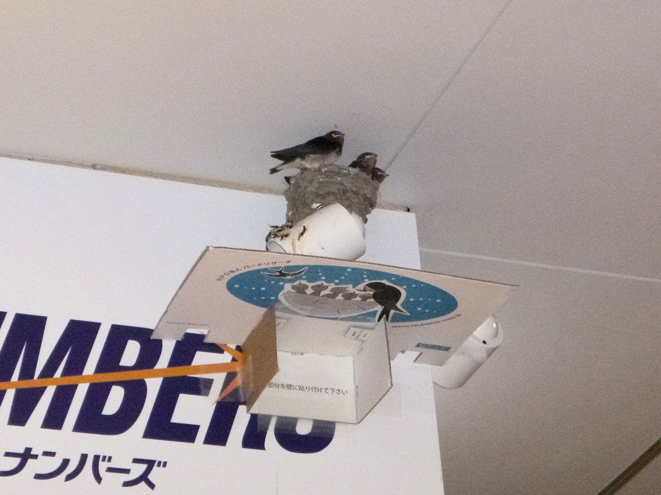 モール宝くじ売り場S