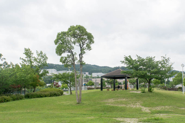 くにみの丘公園-18062812