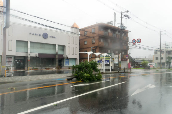台風21号-18090441