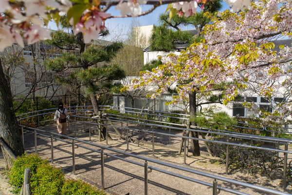 登公園-2004077