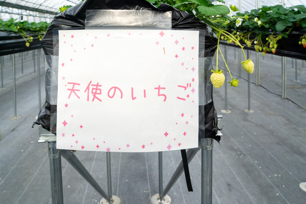 名称未設定202101114