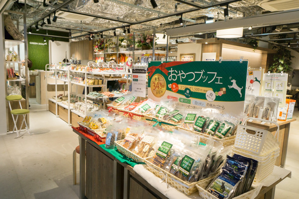 greendog-205