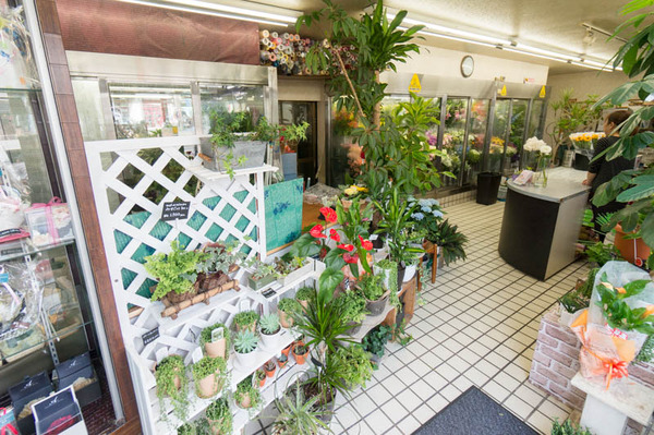 花幸花店-16052429