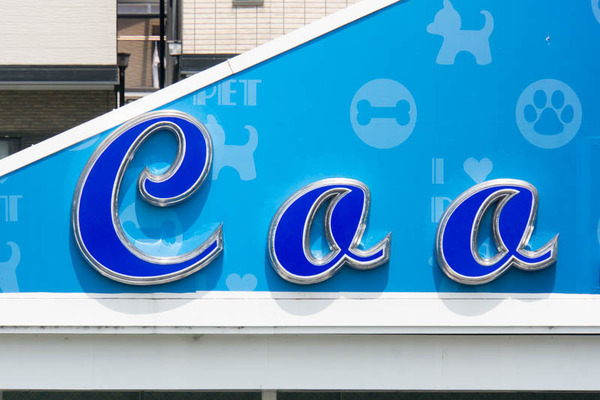 coo-16081311