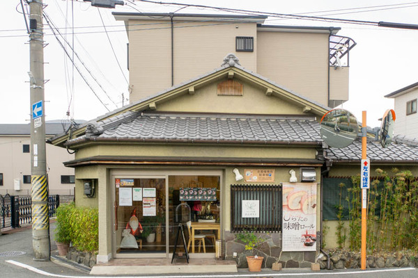 れんげ-1911256