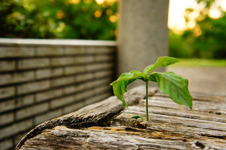 20110727DSC03986