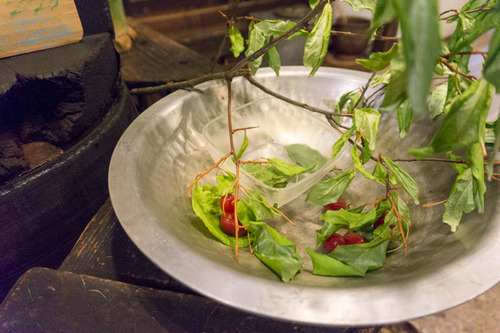 杉五兵衛2-150612182