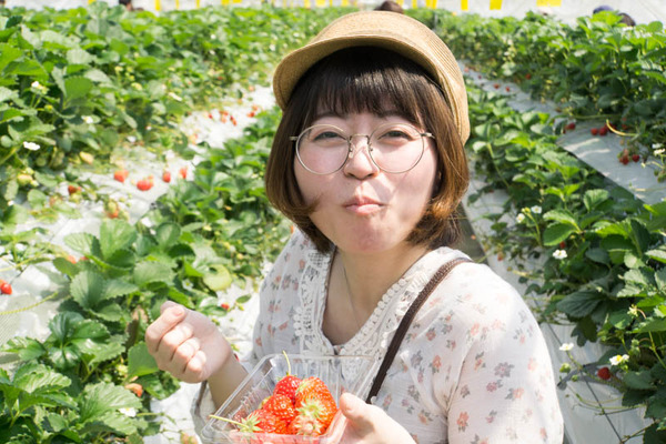 いちご狩り-18042012