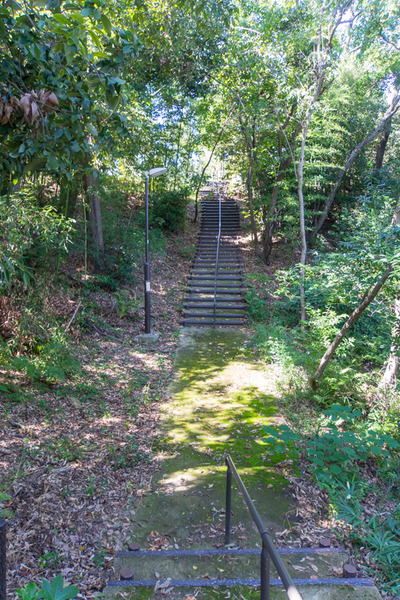 星ヶ丘公園-1910094