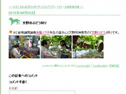 20100822iwaki1