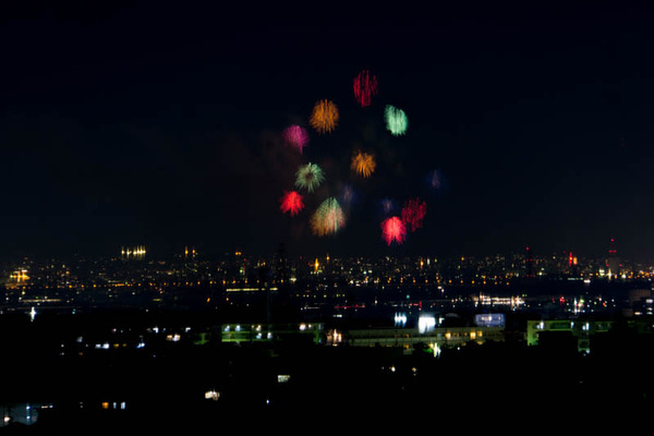 花火-1805306