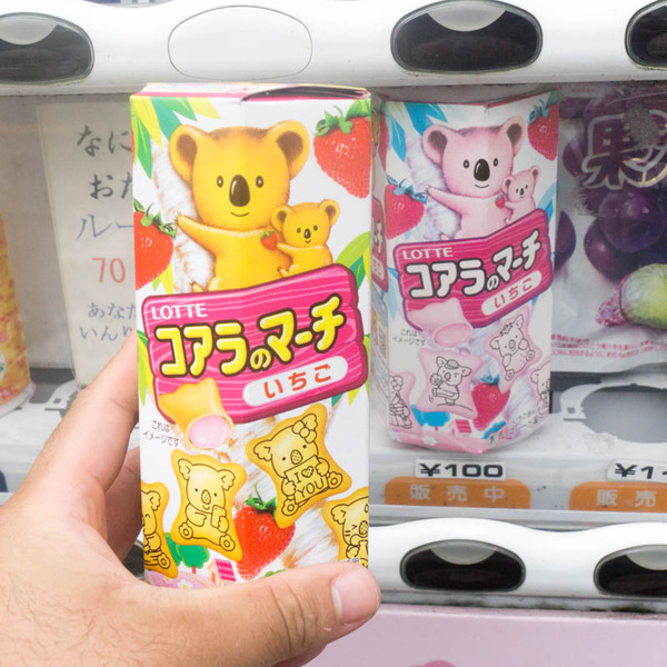 自販機-1904256