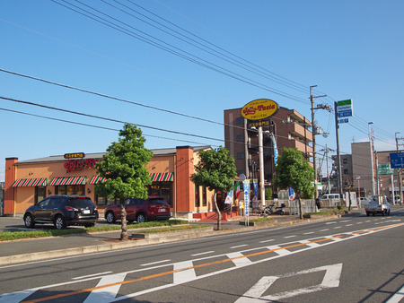 P6102939