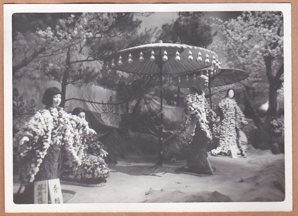 昭和37年菊人形