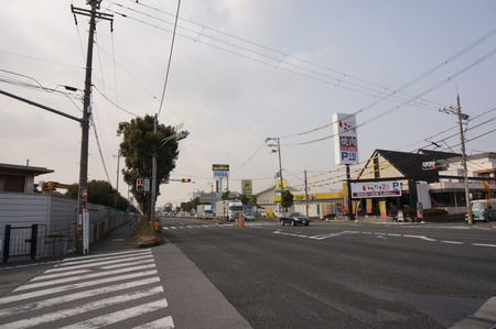 いただき140121-3