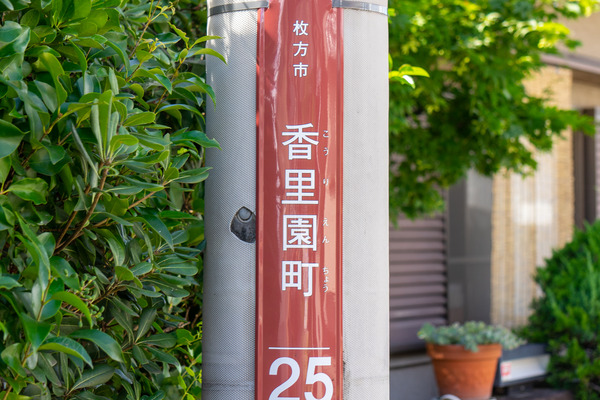 香里-2008104