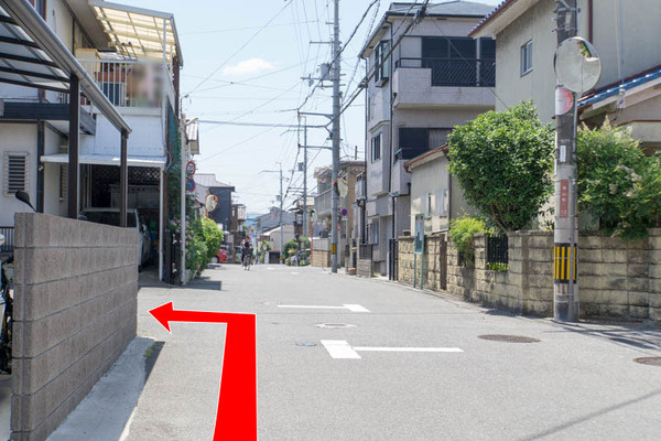 ラビット-1806043