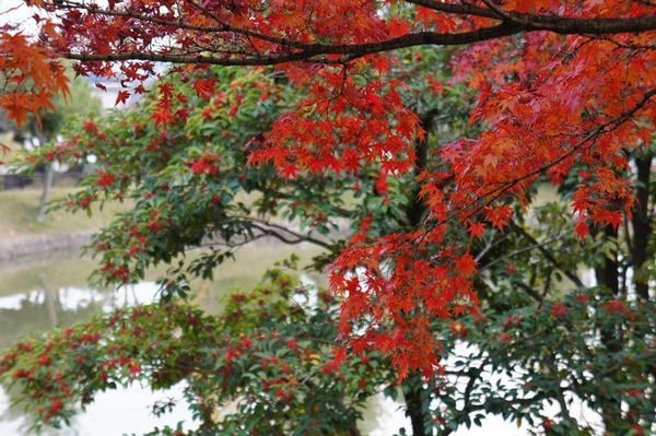 以楽公園2