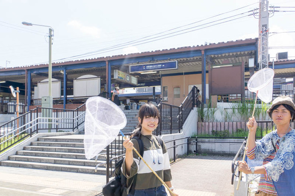 セミ-1808011