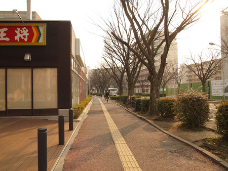 P3050699