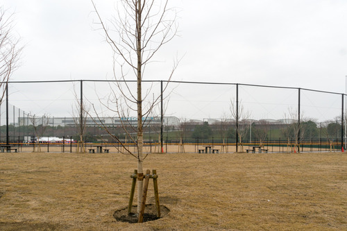 東部公園-15032925