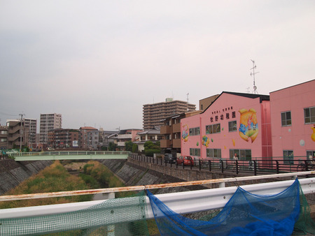 P5298605