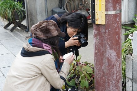 20110108DSC01559