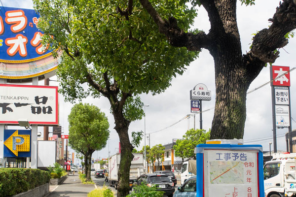国道1号線-1908163
